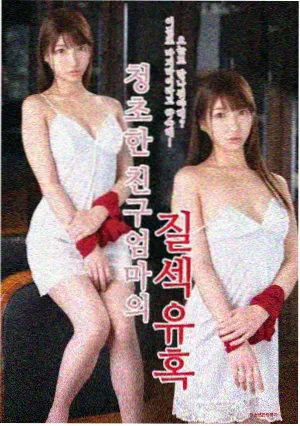 小新剧场版国语作品封面四
